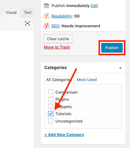 Publish Your New Blog Post and Select Post Category Tutorial on How to Start Blogging