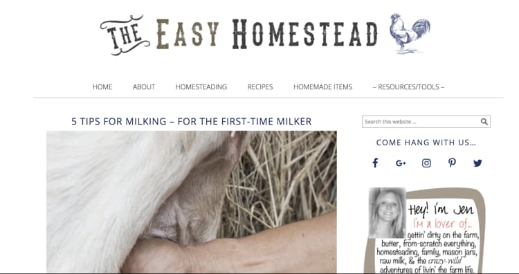 Como nomear seu exemplo de blog The Easy Homestead