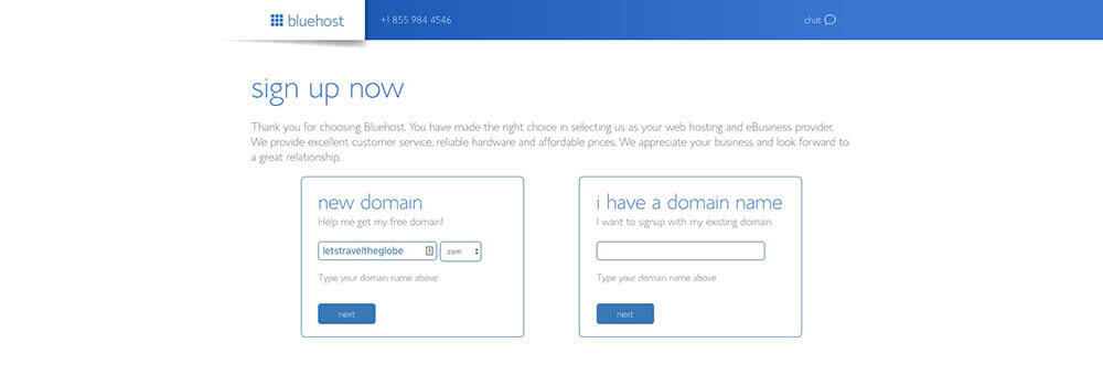 Picking Your Website Domain Name