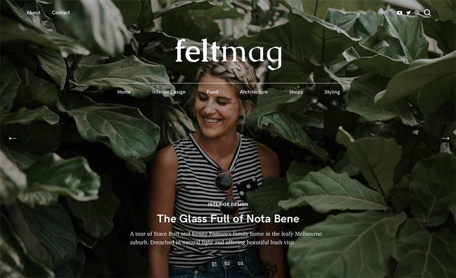 Melhores Temas WordPress para Bloggers Felt by Pixelgrade