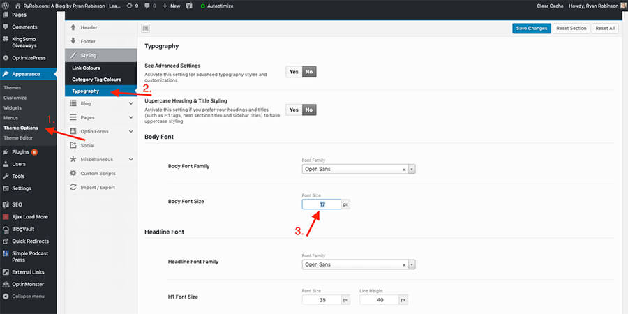 Change Font Size in WordPress Theme Options (Method 1A)