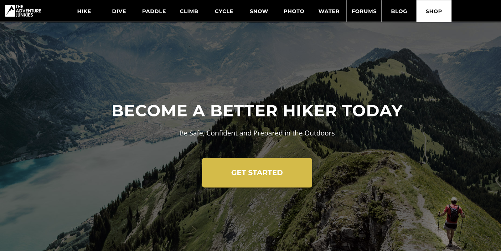 Adventure Junkies Homepage Screenshot (and Blog Niche Example)