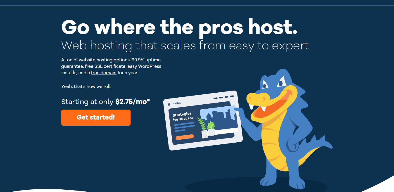 HostGator Hosting Homepage Screenshot