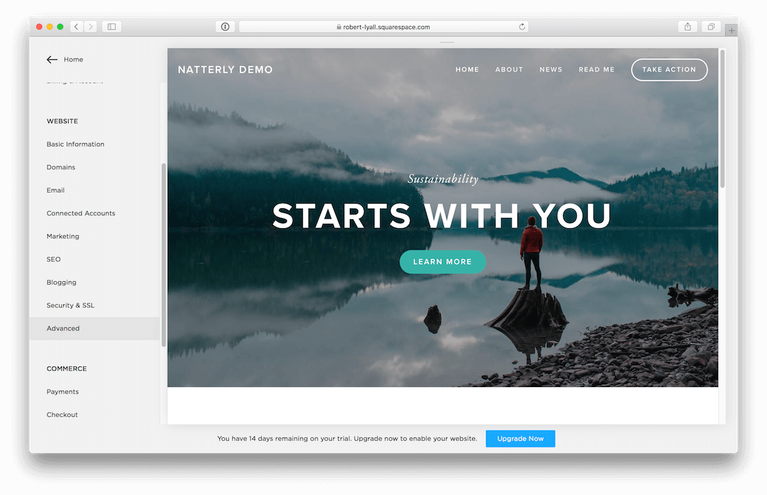 Screenshot of Squarespace Setttings