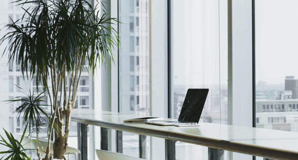 Stock Image of Laptop and Blogger Working