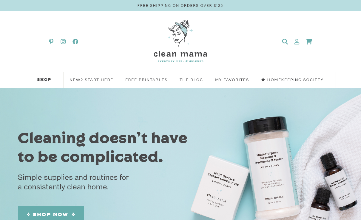 Clean Mama (Best Mom Blogs Example)