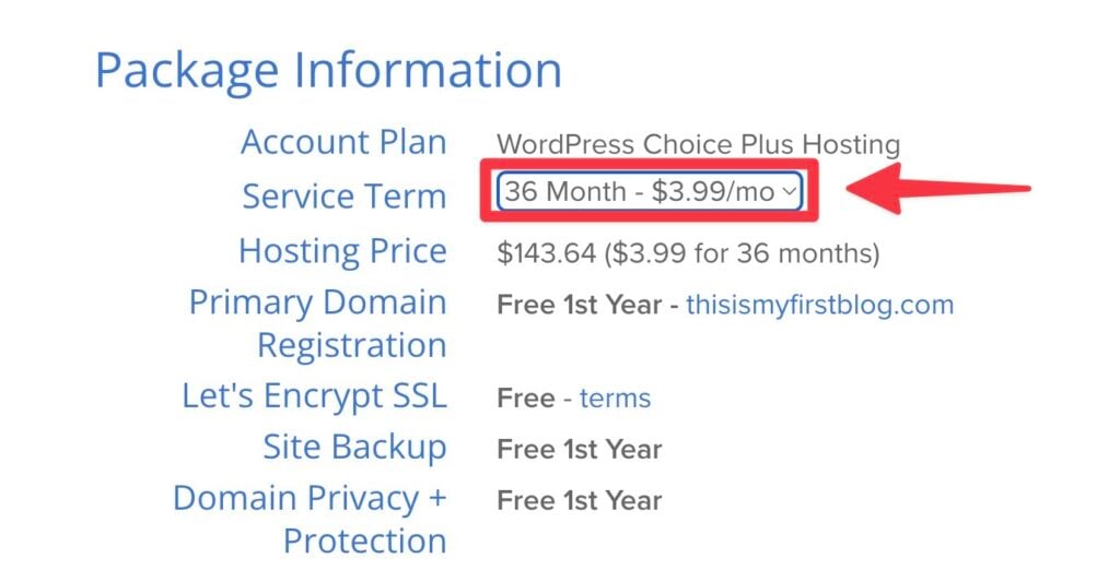 Bluehost Blog Hosting Pricing and Package Options (Screen Shot)