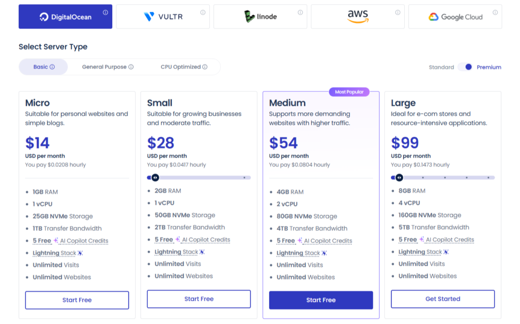 Paket Hosting Web Bertagihan Bulanan Terbaik Pilihan Cloudways 1 Bulan