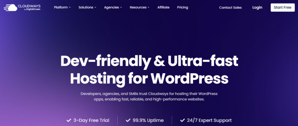 Cloudways as Hosting for WordPress homepage.